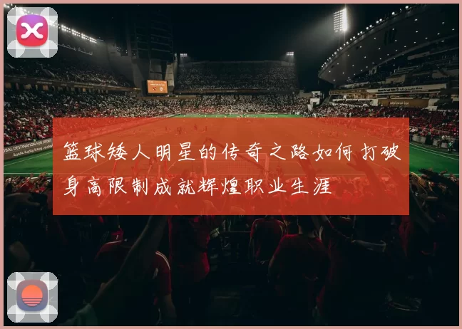 篮球矮人明星的传奇之路如何打破身高限制成就辉煌职业生涯