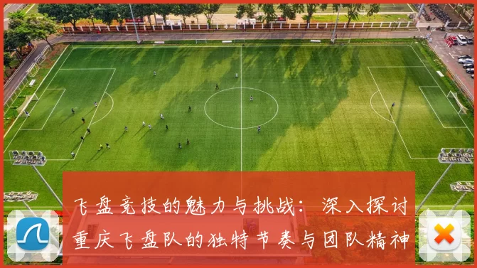 飞盘竞技的魅力与挑战：深入探讨重庆飞盘队的独特节奏与团队精神MBA