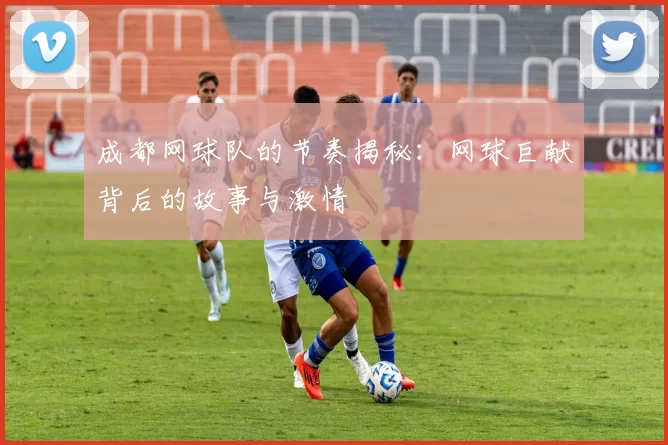 成都网球队的节奏揭秘：网球巨献背后的故事与激情