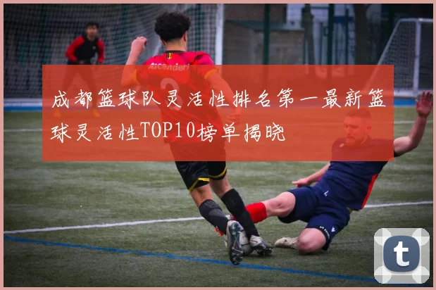 成都篮球队灵活性排名第一最新篮球灵活性TOP10榜单揭晓