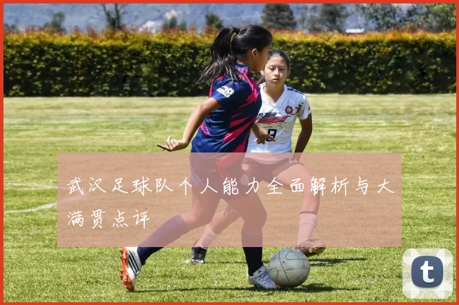 武汉足球队个人能力全面解析与大满贯点评